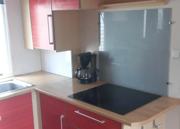 T3 Renata * Burinhosa